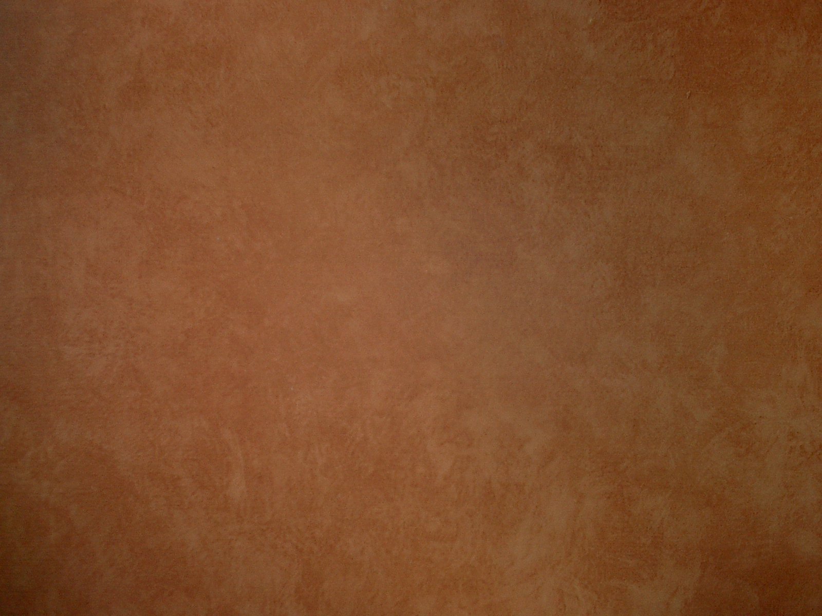 fauxfinishes017.jpg