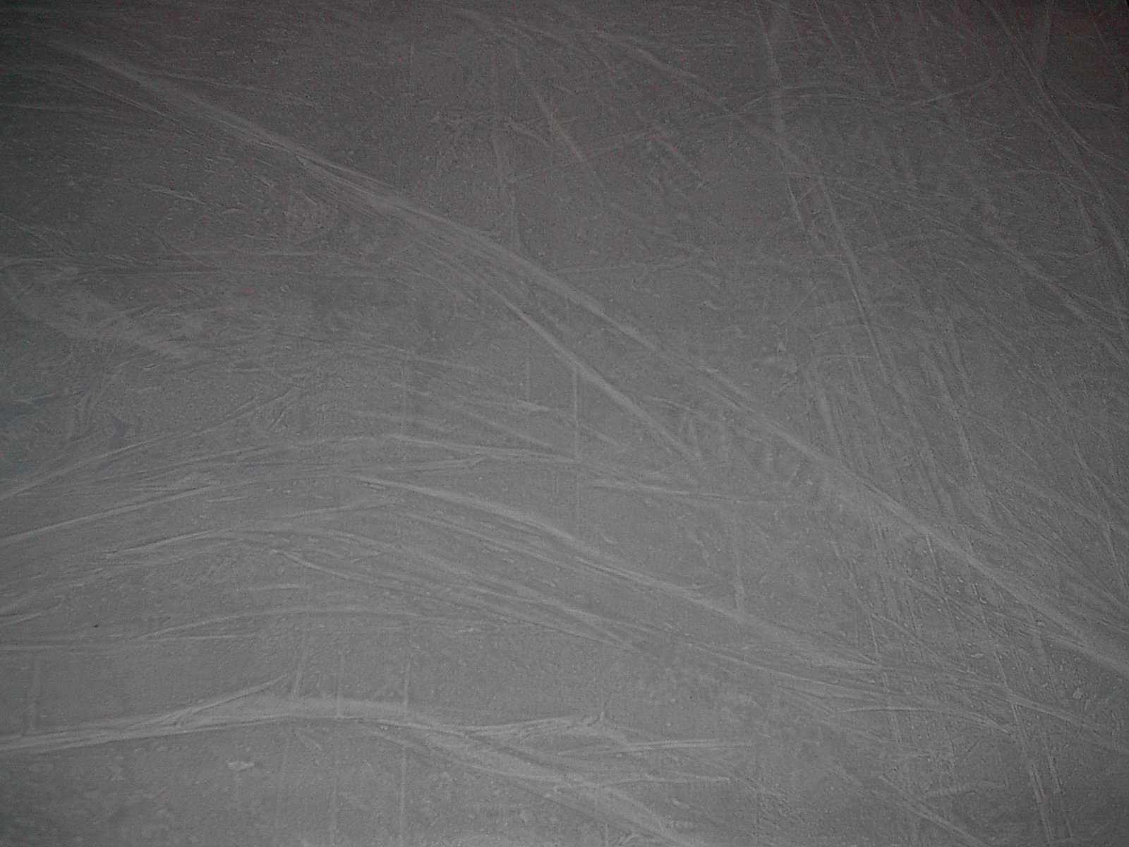 anaglyptapaper.jpg
